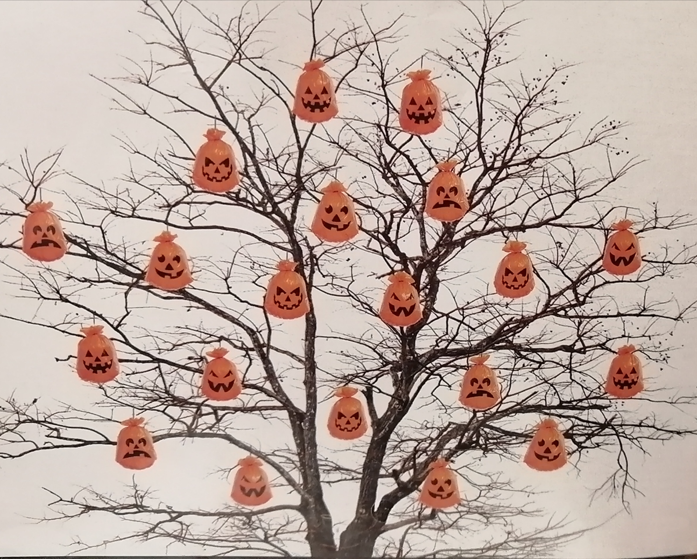tokfej-zsakok-toltheto-dekoraciok-narancs-szinu-vidam-halloween.jpg